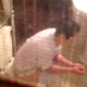 A voyeur cameraman records an unsuspecting girl through a bathroom window while taking a shit sitting on a toilet and wiping her ass. Audio is sketchy. Video is somewhat shaky. About 3 minutes.